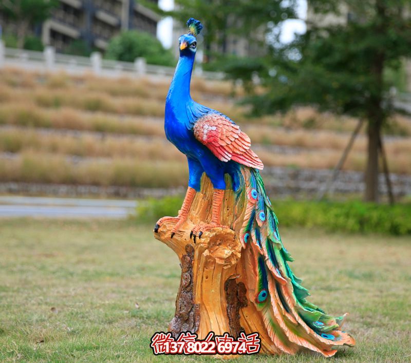 彩繪孔雀玻璃鋼雕塑，為公園街道擺放添彩