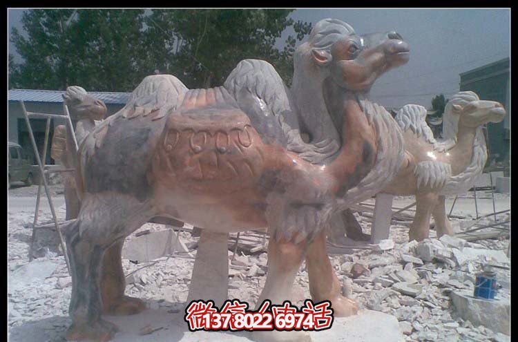 街道邊擺放的花崗巖創意駱駝雕塑 街道邊擺放的花崗巖創意駱駝雕塑