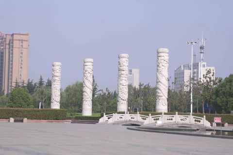 C356556565 C356556565